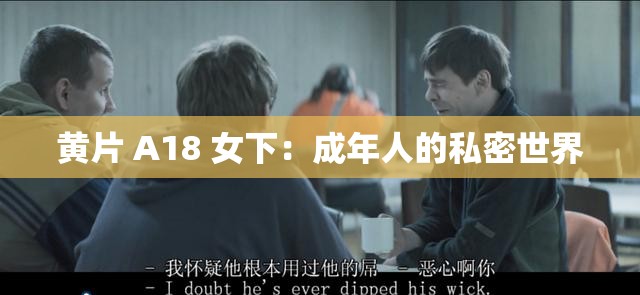 黄片 A18 女下：成年人的私密世界