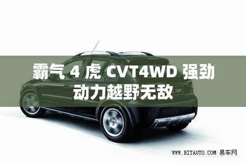 霸气 4 虎 CVT4WD 强劲动力越野无敌