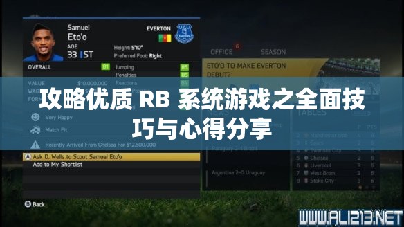 攻略优质 RB 系统游戏之全面技巧与心得分享