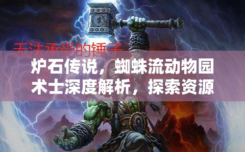 炉石传说，蜘蛛流动物园术士深度解析，探索资源管理的极致艺术