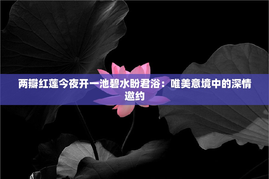 两瓣红莲今夜开一池碧水盼君浴：唯美意境中的深情邀约