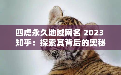 四虎永久地域网名 2023 知乎：探索其背后的奥秘与精彩