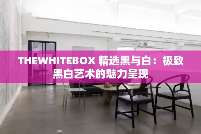 THEWHITEBOX 精选黑与白：极致黑白艺术的魅力呈现