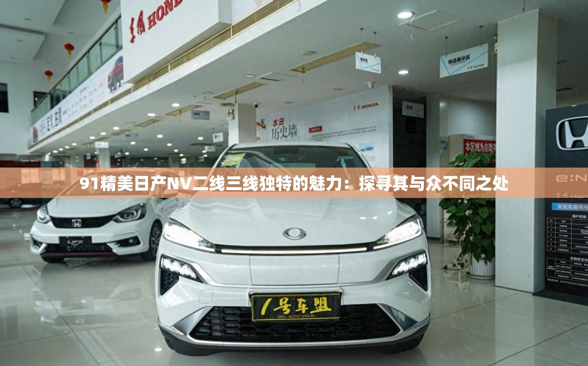91精美日产NV二线三线独特的魅力：探寻其与众不同之处