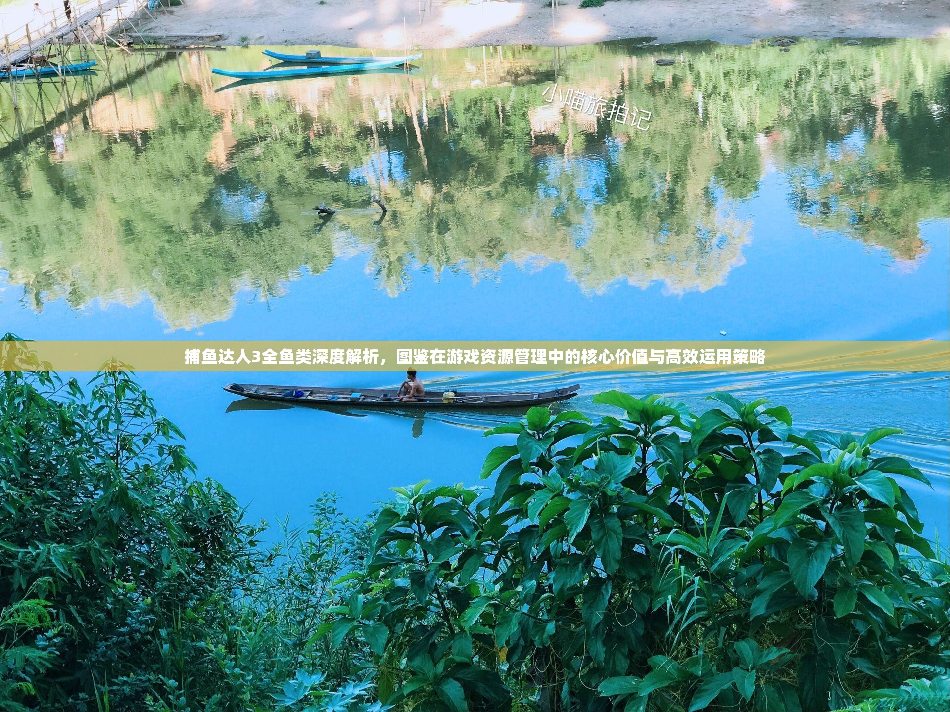 捕鱼达人3全鱼类深度解析，图鉴在游戏资源管理中的核心价值与高效运用策略
