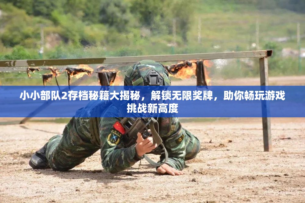 小小部队2存档秘籍大揭秘，解锁无限奖牌，助你畅玩游戏挑战新高度