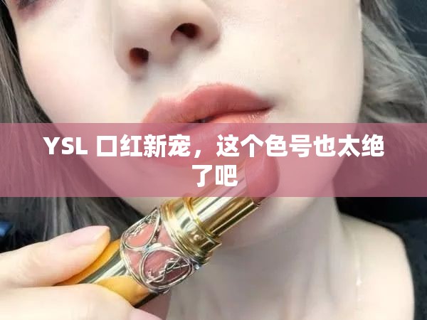 YSL 口红新宠，这个色号也太绝了吧