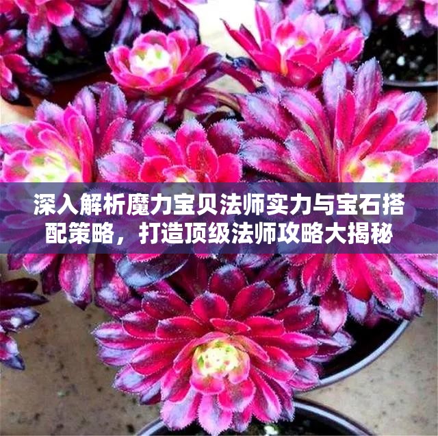 深入解析魔力宝贝法师实力与宝石搭配策略，打造顶级法师攻略大揭秘
