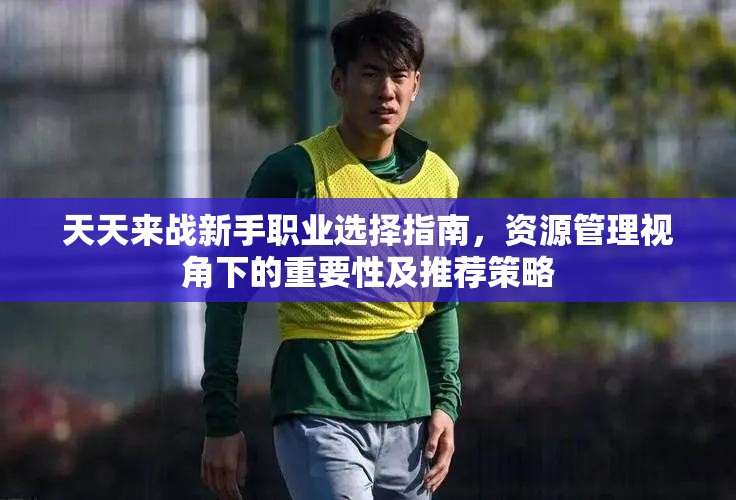天天来战新手职业选择指南，资源管理视角下的重要性及推荐策略