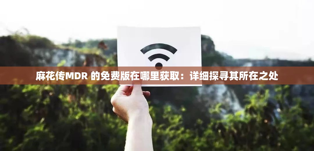 麻花传MDR 的免费版在哪里获取：详细探寻其所在之处
