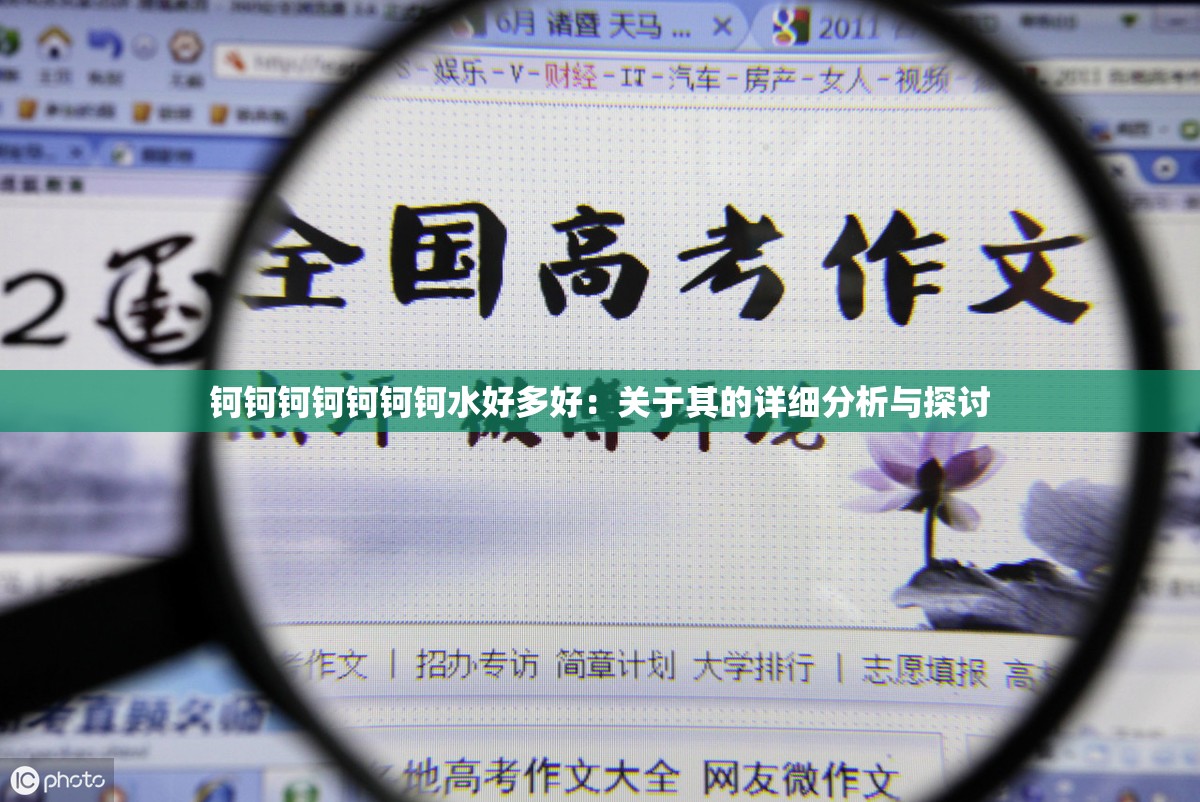 钶钶钶钶钶钶钶水好多好：关于其的详细分析与探讨