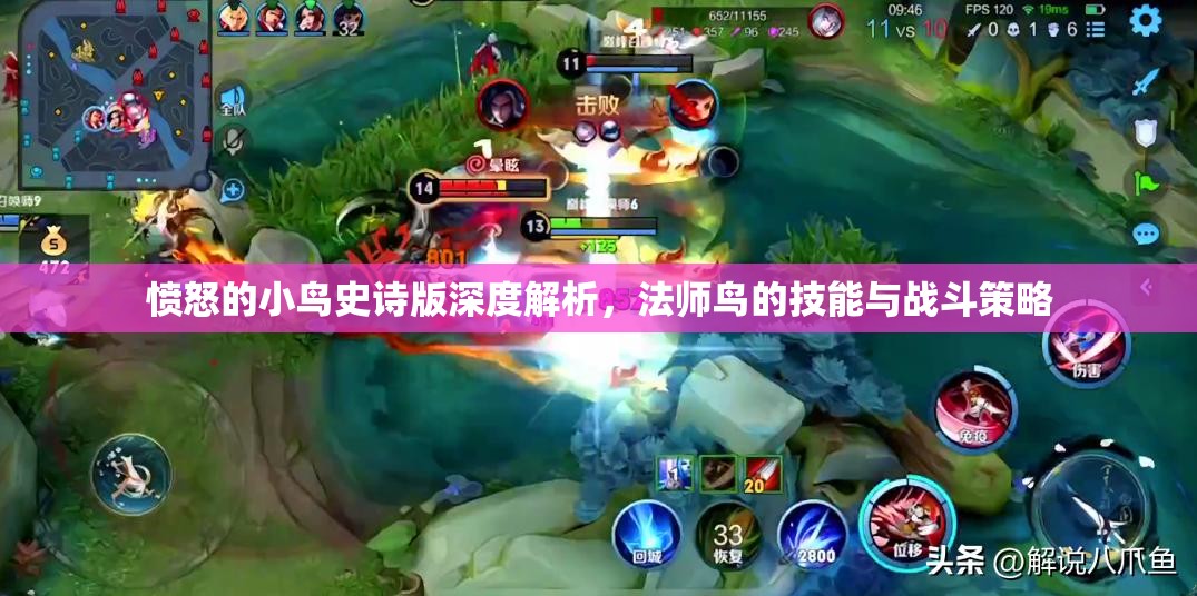 愤怒的小鸟史诗版深度解析，法师鸟的技能与战斗策略