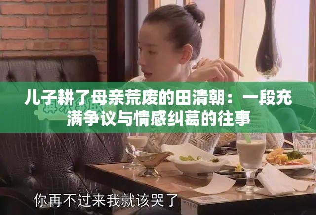 儿子耕了母亲荒废的田清朝：一段充满争议与情感纠葛的往事