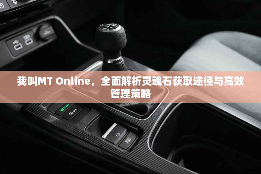 我叫MT Online，全面解析灵魂石获取途径与高效管理策略