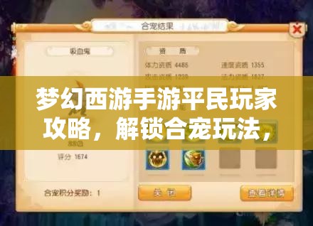梦幻西游手游平民玩家攻略，解锁合宠玩法，资源管理策略的重要性与实施