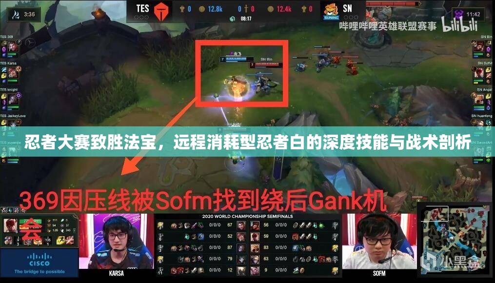 忍者大赛致胜法宝，远程消耗型忍者白的深度技能与战术剖析