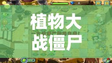 植物大战僵尸2奇妙时空之旅，如何完美攻略隐藏支线任务？